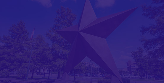 MKT-013986_ICE 2019 CE Advantage State Images_TX