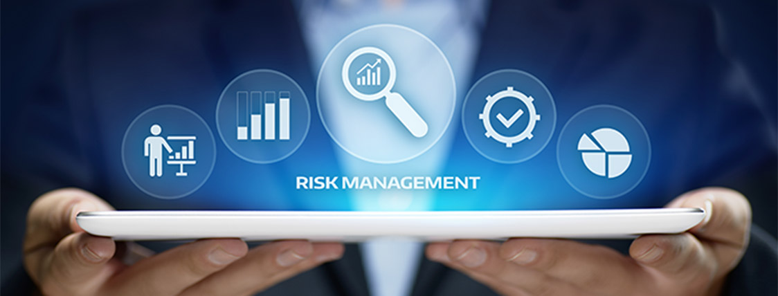 Visual representation of the qualities required to make a successful financial risk manager